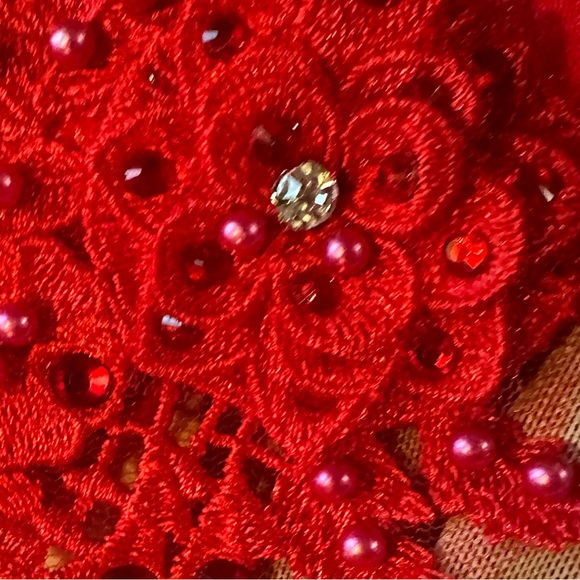 Glamour Red Rhinestone dance costume - Picture 8 of 8